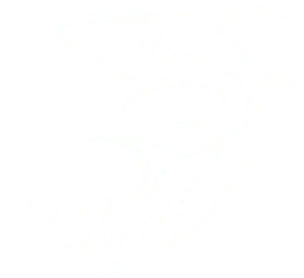 Emaar Aquarium
